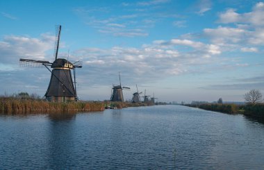 Hollanda Kinderdijk 'te kanalın kenarında antik yel değirmenleri