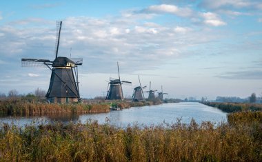 Hollanda Kinderdijk 'te kanalın kenarında antik yel değirmenleri
