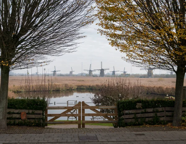 View Trees Windmills Distance Kinderdijk Netherlands — Stock Photo, Image