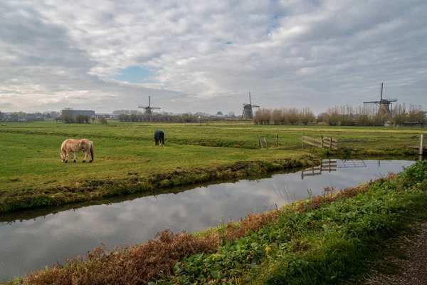 Paarden Molens Bij Kinderdijk Nederland — Stockfoto