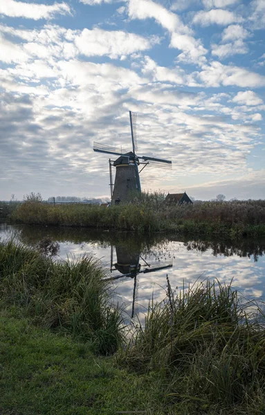 Oude Molen Reflectie Bij Kinderdijk Nederland — Stockfoto