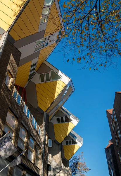 Kubuswoningen Maisons Cubiques Rotterdam Pays Bas Maisons Innovantes Conçues Par — Photo