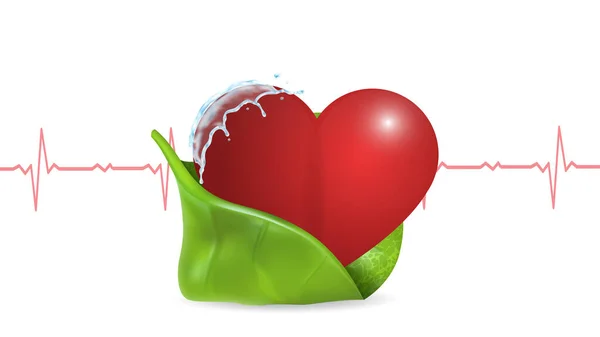 잎사귀와 심장 박동수 그래픽을 바탕으로 인간의 심장을 벡터화 한 그림입니다. 의학, 건강, 맥박, 건강 한 생활 방식. EPS 10. — 스톡 벡터