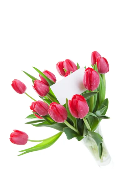 Frische Tulpen in einer Vase lizenzfreie Stockfotos