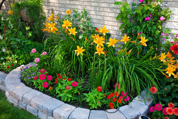 Colorful Flower Bed