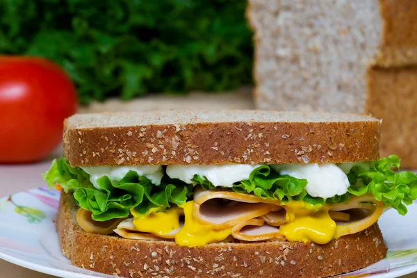 Nährstoffreiches Hühnersandwich — Stockfoto