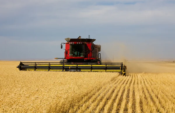 Fall Harvest Stock Photo