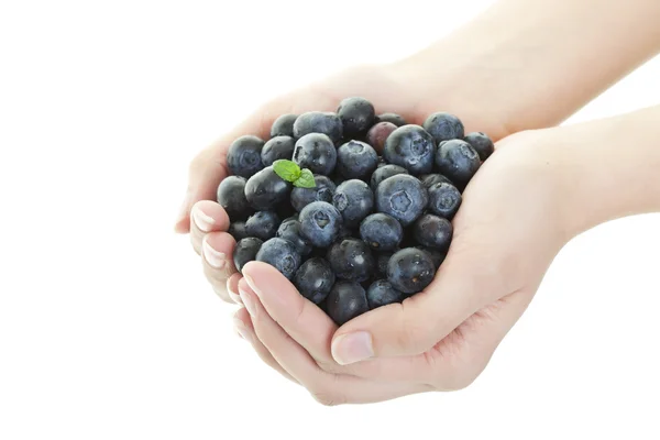 Blueberry Goodness — Stock Photo, Image