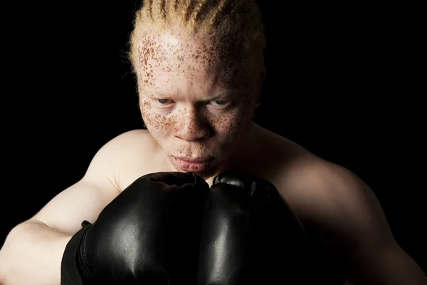 Albino Boxer — Stock Photo, Image