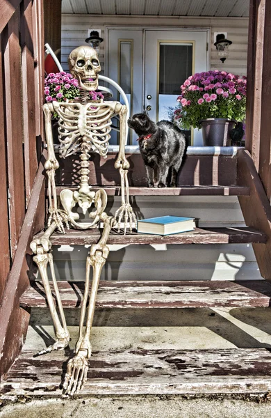 Esqueleto de respaldo & Gato negro — Foto de Stock