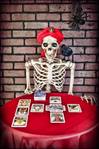 Tarot Reading Skeleton — Stock Photo, Image