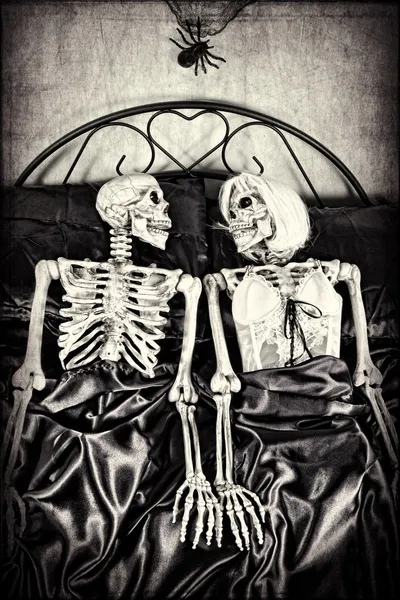 A Not so Dead Romance — Stock Photo, Image