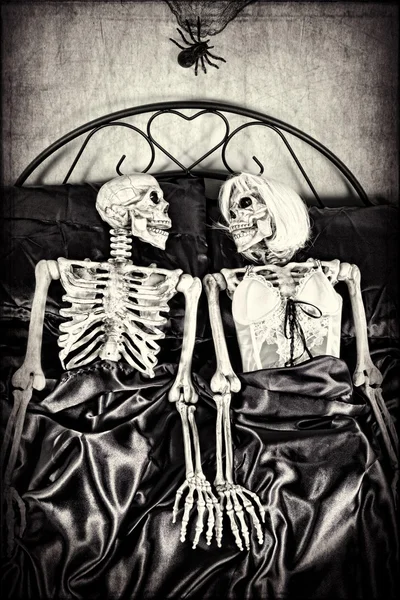 A Not so Dead Romance — Stock Image A Not so Dead Romance Stock Image
