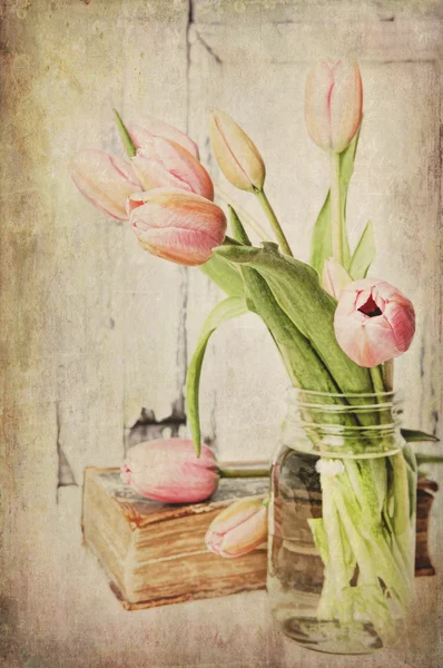 Tulipani rosa vintage — Foto Stock