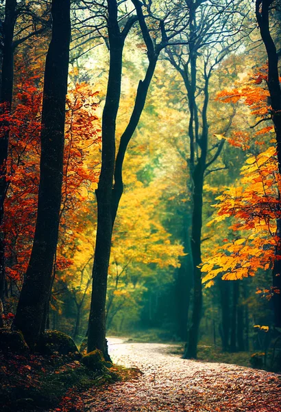 Caminho Sinuoso Através Uma Floresta Cor Outono — Fotografia de Stock