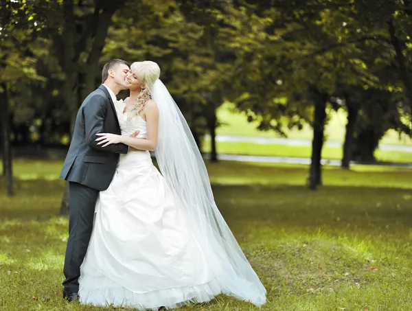 在一个公园的亲吻婚礼夫妇 — 图库照片