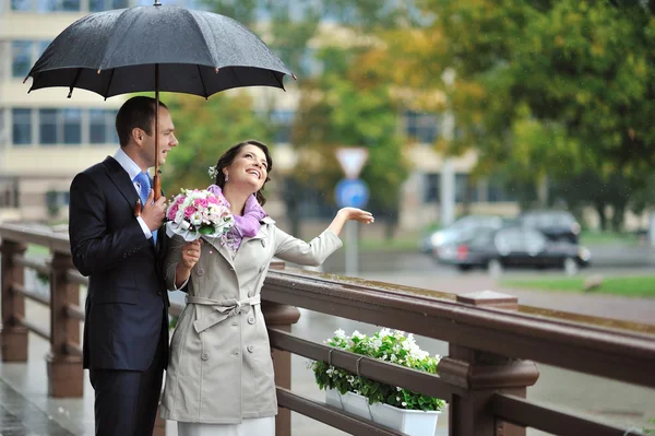 Noiva e noivo escondendo-se da chuva, enquanto captura gotas de chuva um — Fotografia de Stock