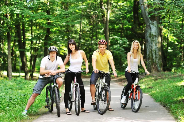 Grupp av fyra vuxna på cyklar på landsbygden — Stockfoto