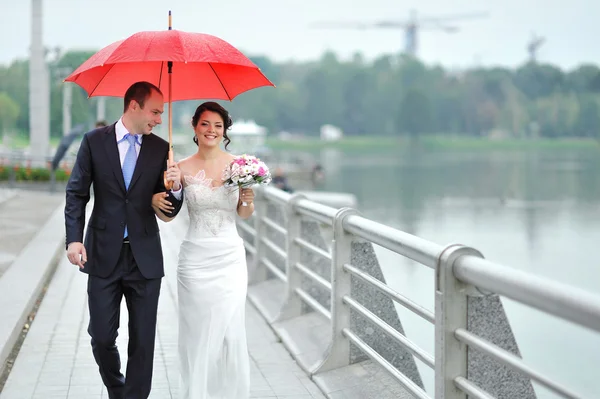 Весільна пара прокидається під дощем під парасолькою — стокове фото