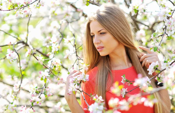 Close up of a beautiful woman face in blooming spring tree — Stock Photo, Image