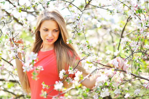 Retrato de uma mulher bonita na árvore de primavera florescendo — Fotografia de Stock