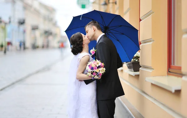 Kissing wedding couple — Stock Photo, Image