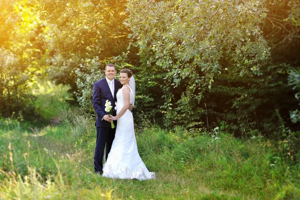 Jóvenes novios felices en un parque. Pareja de boda —  Fotos de Stock