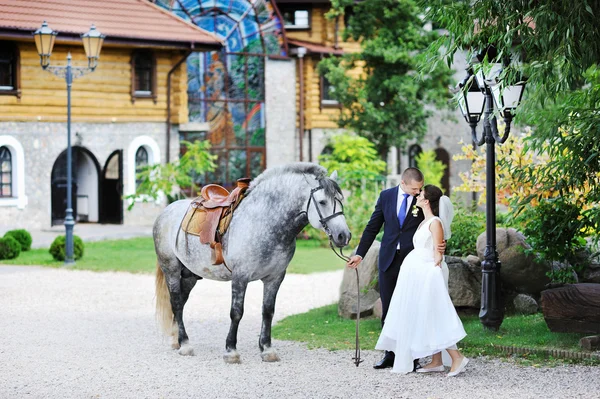 Noiva e noivo no parque com cavalo — Fotografia de Stock