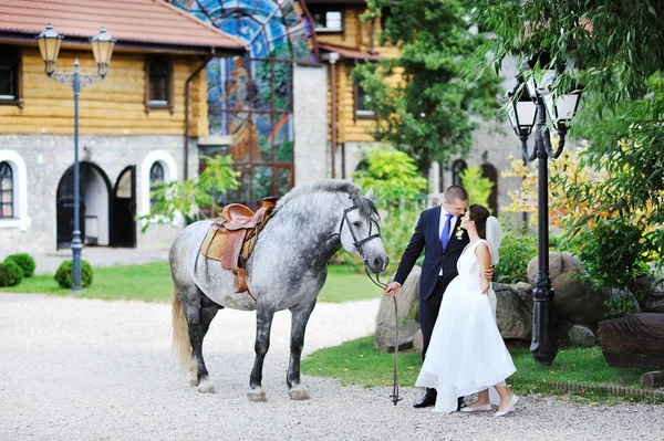 Narzeczeni w parku z konia — Zdjęcie stockowe