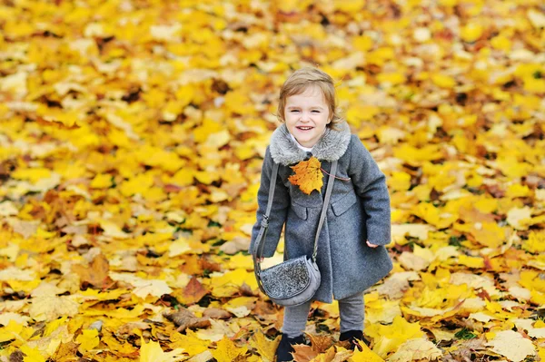 Nettes kleines Mädchen im Herbstlaub in einem Park — Stockfoto