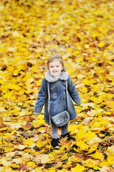 Ragazzina carina in fogliame autunnale in un parco - full length portr — Foto Stock