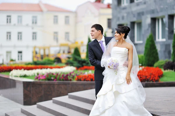 Novia y novio — Foto de Stock