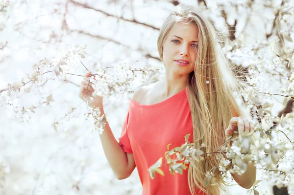 Portret van een mooi meisje in de bloeiende lente boom — Stockfoto