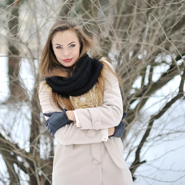美しい少女冬のポートレート — ストック写真