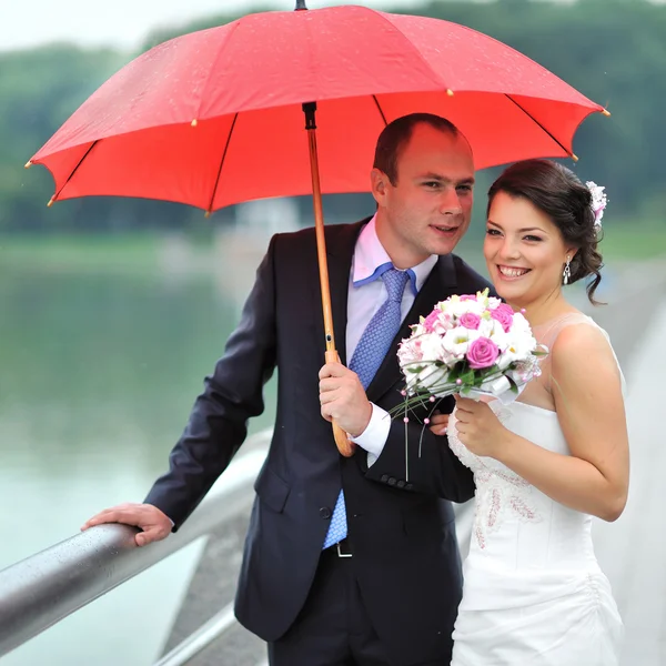 Pareja feliz boda escondiéndose de la lluvia - retrato —  Fotos de Stock