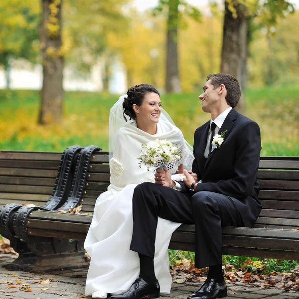 Novia y novio — Foto de Stock