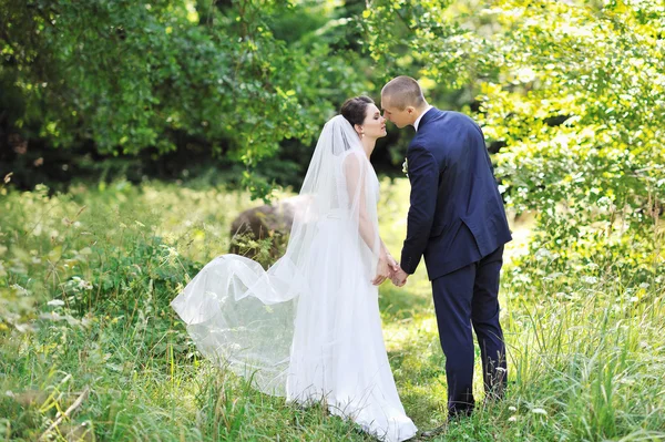 Kissing wedding couple in a park. Bride and groom — Stock Photo, Image