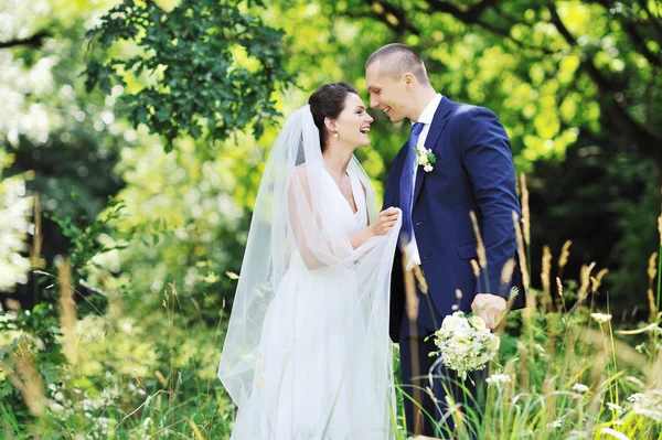 Hermosa pareja de boda. Retrato al aire libre — Foto de Stock