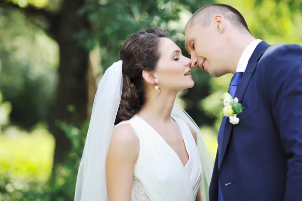 Casal de casamento beijando - close-up — Fotografia de Stock
