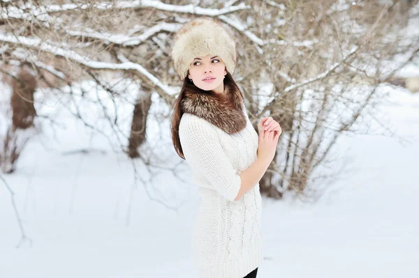 Mulher bonita no cenário de inverno — Fotografia de Stock