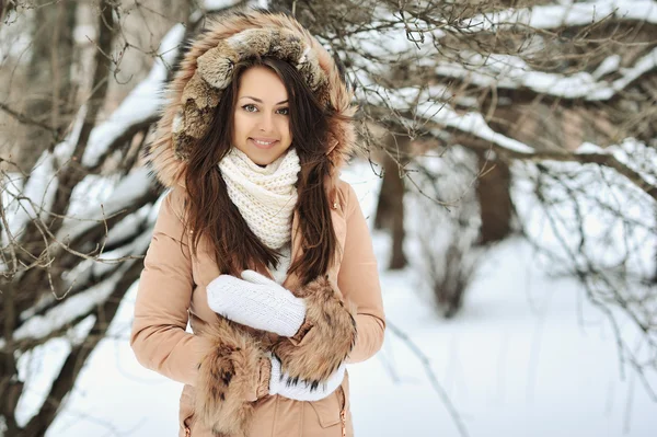 Retrato de una hermosa chica en invierno —  Fotos de Stock