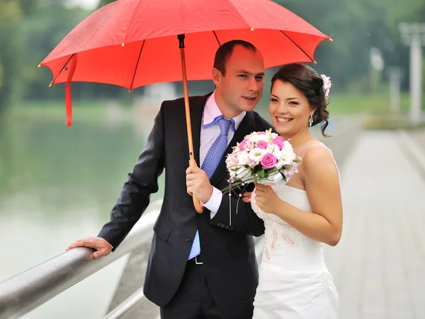 Couple marié joyeux debout près d'une rivière — Photo