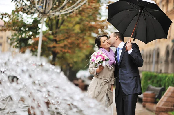 Wedding pair hugging and kissing - outdoors — Stock Photo, Image