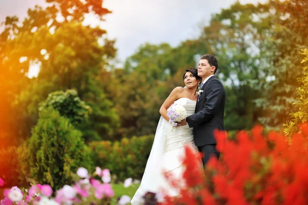 Bride and groom in a park - outdoor portrait — Stock Photo, Image