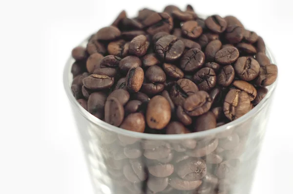 Coffee beans in glass — Stock Photo, Image