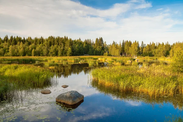 Calm lake on sunny summer evening — Stock Photo, Image