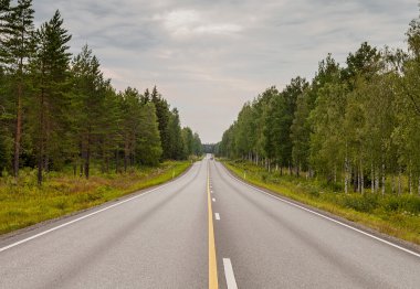 bulutlu bir günde ormandaki asfalt yol.