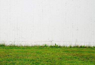 Yeşil çimen ve beyaz duvar