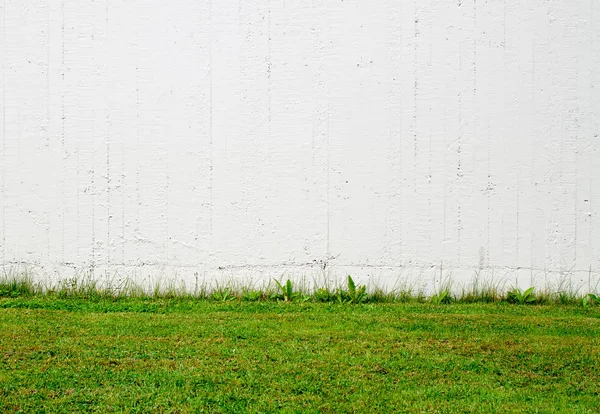 Green grass and white wall — Stock Photo, Image