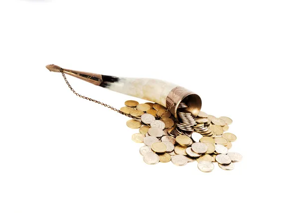 Cornucopia bone full of silver coin — Stock Photo, Image